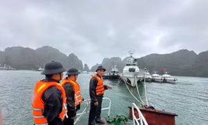 Vùng Cảnh sát biển 1 tích cực cùng ngư dân phòng, chống bão số 3