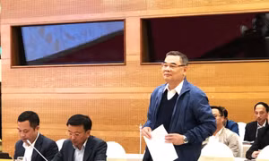 Lực lượng công an đã triệt phá 52 vụ cá độ bóng đá với số tiền giao dịch ước tính hàng chục nghìn tỷ đồng