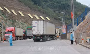 Cặp chợ biên giới Tân Thanh - Pò Chài thông quan trở lại từ khi nào? 