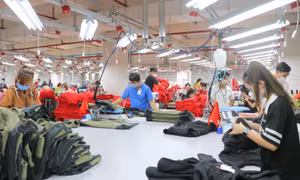 Thúc đẩy kinh tế tư nhân trở thành động lực quan trọng mang tính đột phá