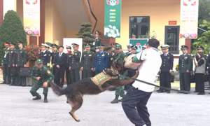 Đoàn đại biểu cấp cao Bộ Quốc phòng Việt Nam - Trung Quốc thăm Đồn Biên phòng Trà Cổ