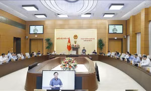 Kế hoạch giám sát việc thực hiện chính sách, pháp luật