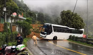 Những chỉ đạo, điều hành của Chính phủ, Thủ tướng Chính phủ nổi bật tuần từ 31/7 - 4/8