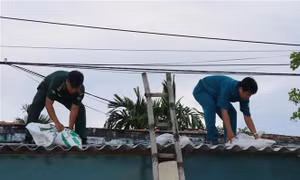 Lực lượng Dân quân tự vệ xã Tịnh Kỳ, thành phố Quảng Ngãi giúp người dân gia cố lại nhà cửa.