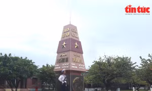 Sức sống Trường Sa