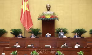 Ngày 30/5, Quốc hội thảo luận Luật Giao dịch điện tử và cơ chế, chính sách đặc thù phát triển TP Hồ Chí Minh