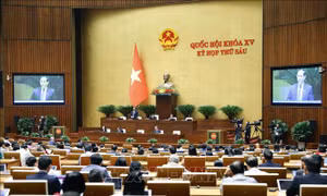 Thông cáo báo chí số 20, Kỳ họp thứ 6, Quốc hội khóa XV