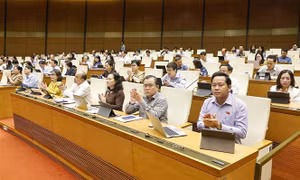 Chủ tịch Quốc hội làm Chủ tịch Hội đồng Bầu cử quốc gia