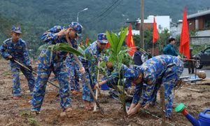 Vùng 3 Hải quân hưởng ứng đề án ‘Trồng một tỷ cây xanh’
