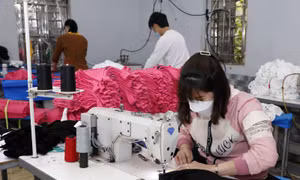 Thích ứng linh hoạt, thúc đẩy phát triển kinh tế xã hội 