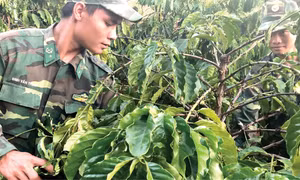 ‘Ba cùng’ với đồng bào biên giới Tây Nguyên