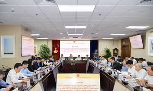 Ủy ban Quản lý vốn nhà nước lập Tổ công tác đặc biệt tháo gỡ khó khăn cho doanh nghiệp