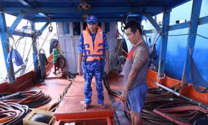 Cảnh sát biển liên tiếp bắt giữ tàu vận chuyển dầu DO trái phép