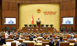 Các Nghị quyết của Quốc hội đề ra rất trúng, đúng và đi vào cuộc sống, thúc đẩy phát triển kinh tế
