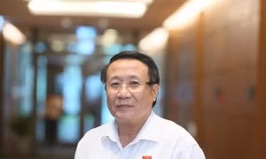 Phân định rõ chức năng, nhiệm vụ để cán bộ cấp xã dám nghĩ, dám làm, dám dấn thân cống hiến