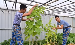 Những ‘cột mốc sống’ canh giữ biển trời Tổ quốc: Bài 1- Bản lĩnh và tinh thần thép của những chiến sĩ nhà giàn