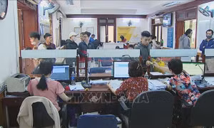 Hà Nội Hướng dẫn thủ tục cấp phiếu lý lịch tư pháp qua kênh bưu chính