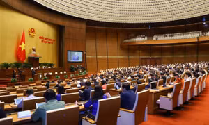 Bộ trưởng Bộ Công an Tô Lâm trình bày Tờ trình về dự thảo Nghị quyết về thí điểm cấp quyền lựa chọn sử dụng biển số ô tô thông qua đấu giá