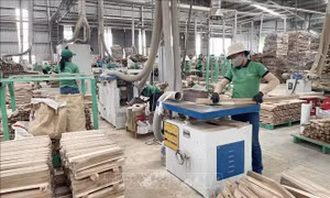 Nhanh chóng hoàn thuế VAT cho doanh nghiệp