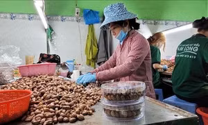 Tháo gỡ rào cản tiếp cận vốn cho các doanh nghiệp nhỏ và vừa