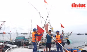 PGS.TS Nguyễn Chu Hồi - Đại biểu Quốc hội, Phó Chủ tịch thường trực Hội Nghề cá Việt Nam trả lời về IUU