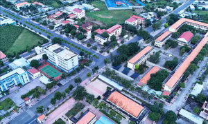 Chỉ định Ban Chấp hành Đảng bộ tỉnh, thành phố sau sắp xếp đơn vị hành chính