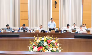 Thể chế hóa chỉ đạo của Đảng về Luật Thương mại Điện tử