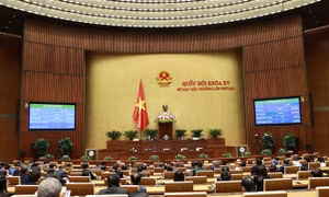 Quốc hội biểu quyết thông qua Nghị quyết phê chuẩn Phó Thủ tướng Chính phủ nhiệm kỳ 2021 - 2026