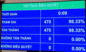 Quốc hội biểu quyết thông qua Nghị quyết sửa đổi Hiến pháp