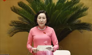Ngày 15/3/2026 là ngày bầu cử đại biểu Quốc hội khoá XVI 