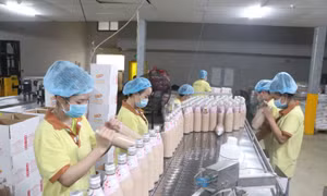 Nhiều giải pháp hỗ trợ người lao động để khôi phục sản xuất, kinh doanh
