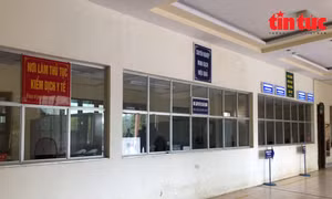 Cảnh đìu hiu ở cửa khẩu Lóng Sập giữa mùa tiêu thụ nông sản