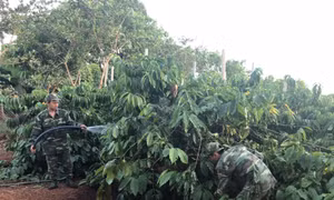 Thắm tình quân dân nơi ngã ba biên giới