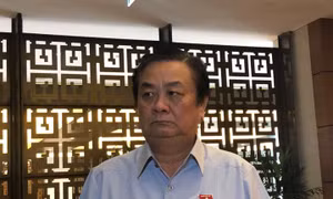 Đại biểu Quốc hội: Người dân vẫn hiểu sai về dịch tả lợn châu Phi