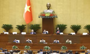 Ngày 26/11, Quốc hội biểu quyết thông qua 4 dự án luật