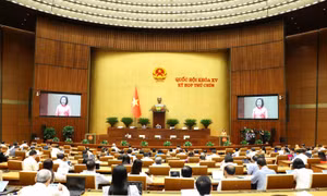 Ngày 13/5, Quốc hội thảo luận tại Hội trường về các nghị quyết, trong đó có cơ chế chính sách đặc thù phát triển TP Hải Phòng