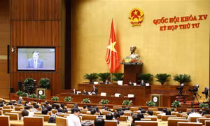 Đại biểu Quốc hội kỳ vọng về những vấn đề nóng sẽ được tư lệnh ngành giải đáp trong các phiên chất vấn