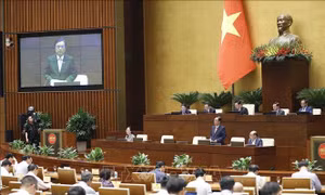 Đảm bảo thu nhập nông dân, chống sụt lún ở đồng bằng sông Cửu Long là vấn đề cấp bách