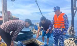 Cảnh sát biển bắt giữ tàu cá vận chuyển trái phép 40.000 lít dầu DO