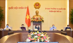Cần đánh giá đúng tác động môi trường trong việc phát triển kinh tế - xã hội 