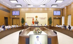 Rà soát quy định trong dự án Luật sửa đổi, bổ sung một số điều Luật Kinh doanh bảo hiểm