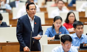 Bộ trưởng Bộ Lao động Thương binh và Xã hội Đào Ngọc Dung giải trình trước Quốc hội về những vấn đề đại biểu Quốc hội quan tâm