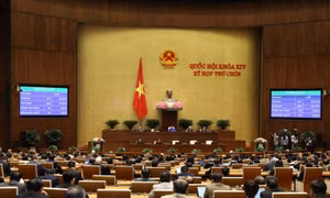 Những điểm mới của 11 luật, bộ luật sẽ có hiệu lực từ 1/1/2021 