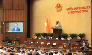 Bộ trưởng Bộ Giáo dục và Đào tạo và Bộ trưởng Bộ Tài chính sẽ đăng đàn trả lời chất vấn 