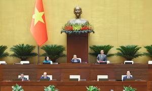 Luật Phát triển đô thị tạo hành lang pháp lý, phát triển các đô thị đặc biệt