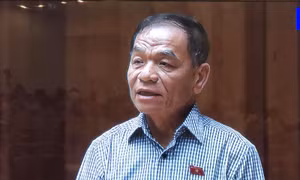 Đại biểu Quốc hội Lê Thanh Vân: Cần giám sát việc thực hiện chính sách pháp luật trong hoạt động báo chí