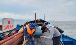 Cảnh sát biển tạm giữ 15.000 lít dầu DO không rõ nguồn gốc