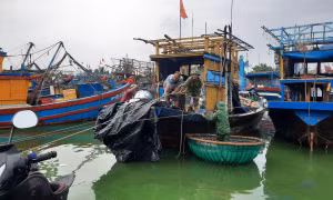 Tiếp tục kêu gọi 51 tàu cá di chuyển về nơi an toàn tránh bão Noru 