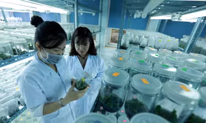 Xây dựng Đắk Lắk trở thành trung tâm kinh tế mạnh vùng Tây Nguyên