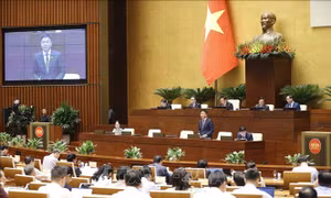 Sớm hoàn tất Thông tư hướng dẫn về vị trí việc làm với pháp chế viên